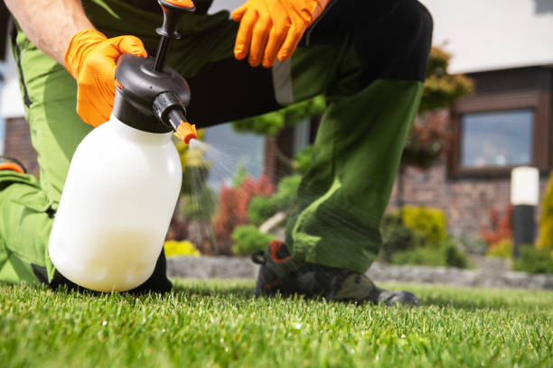 Best Pest Removal Services  in St Anne, IL