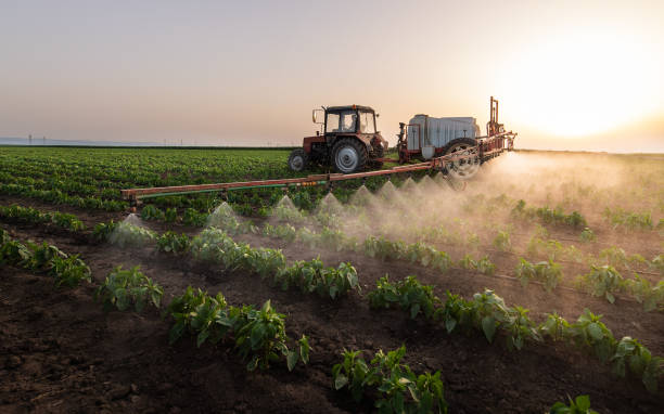 Best Pest Removal Services  in St Anne, IL