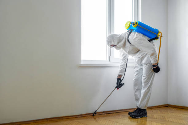 Pest Prevention Services in St Anne, IL