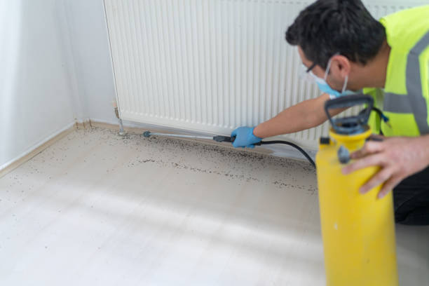 Best Local Pest Control Services  in St Anne, IL